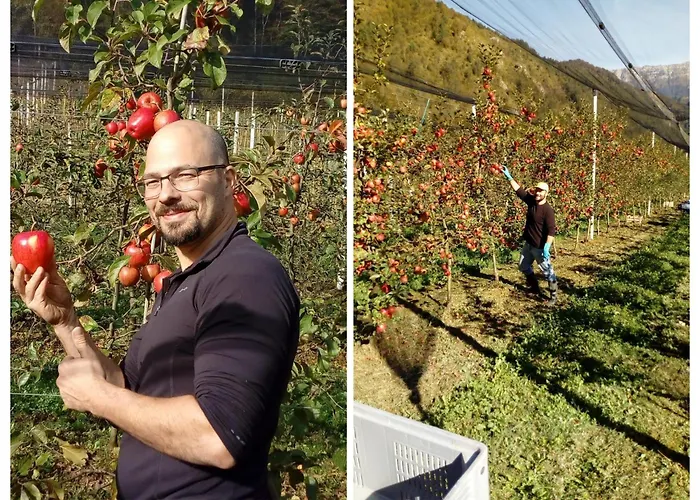 Agriturismo Pian Dei Tass