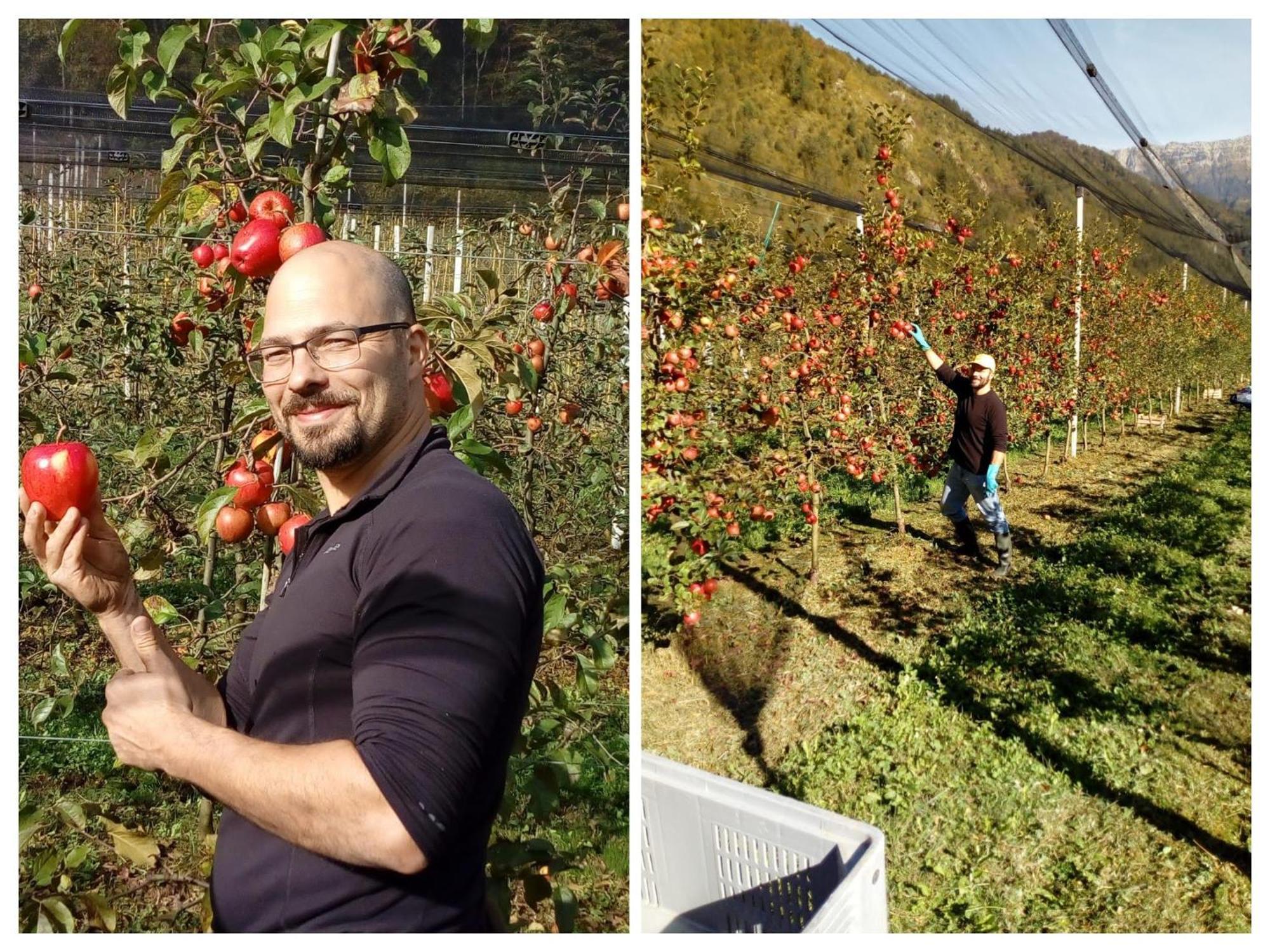 Farm stay Pian Dei Tass