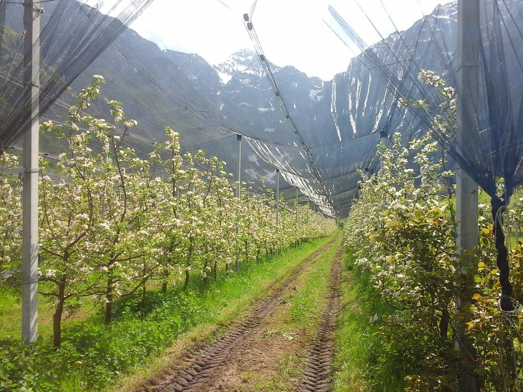Farm stay Pian Dei Tass Barcis